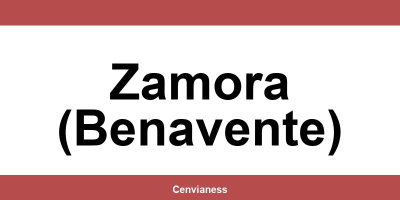 Teléfono de contacto de CTT Express en Zamora (Benavente)