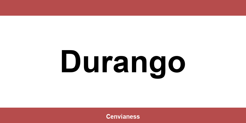 Teléfono de contacto de CTT Express en Durango