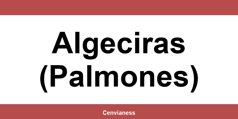 Teléfono de contacto de CTT Express en Algeciras (Palmones)